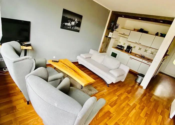 Terrassenhaus Im Harz, Pool, Sauna, Wlan