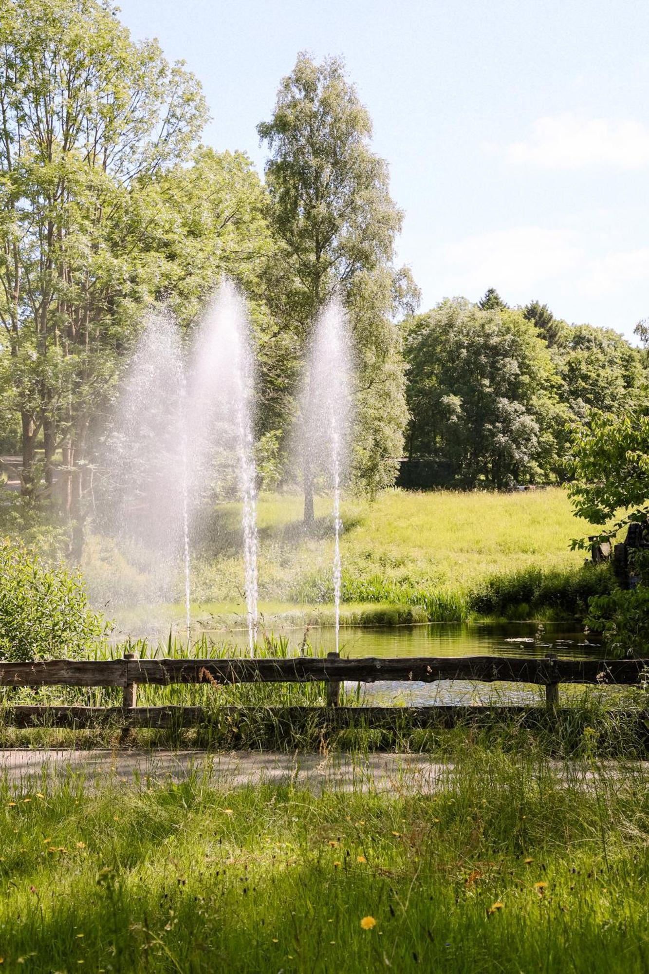 Terrassenhaus Im Harz, Pool, Sauna, Wlan Apartment Braunlage