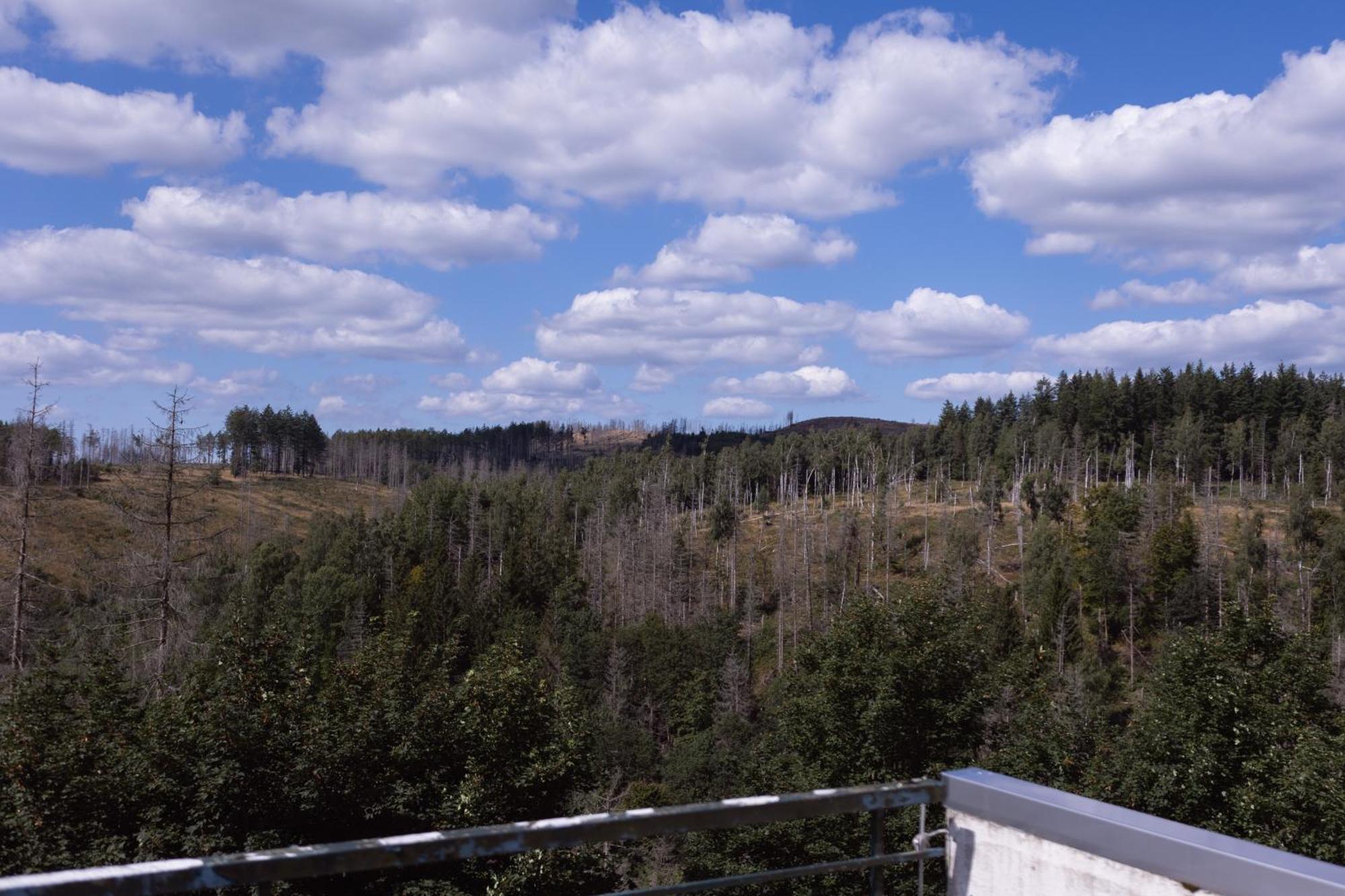 Terrassenhaus Im Harz, Pool, Sauna, Wlan Appartement